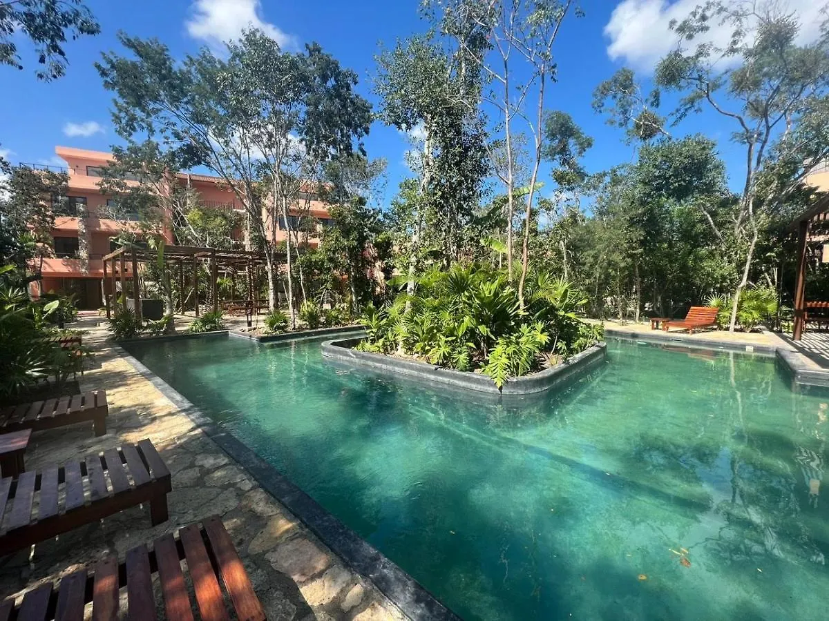 Estudio Completo En La Selva Tulum