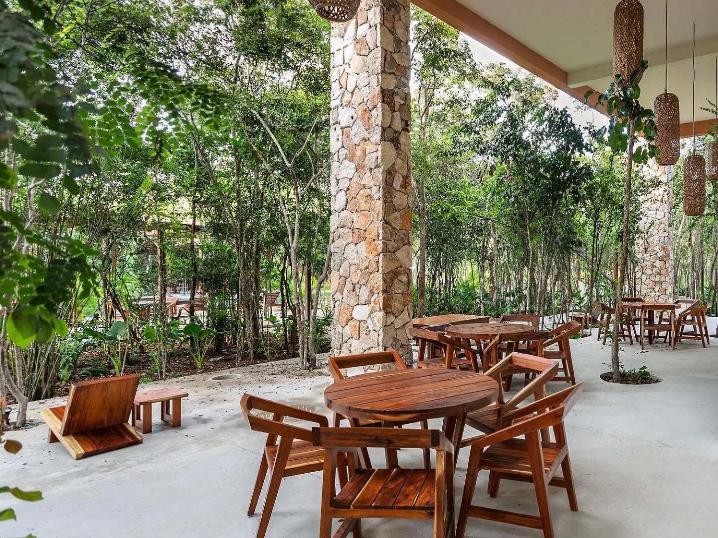 Estudio Completo En La Selva Tulum Mexico