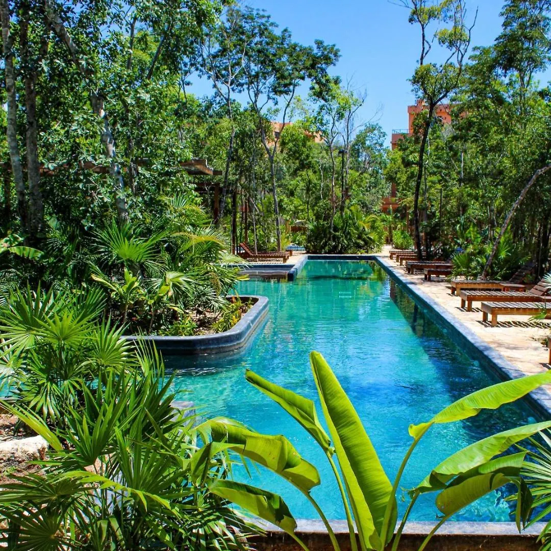 Apartment Estudio Completo En La Selva Tulum