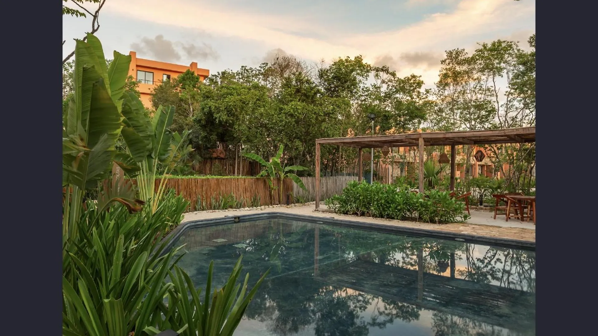 Estudio Completo En La Selva Tulum
