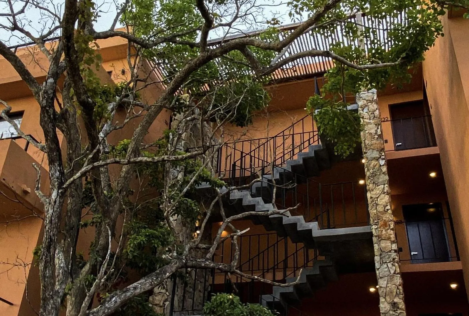 Estudio Completo En La Selva Tulum