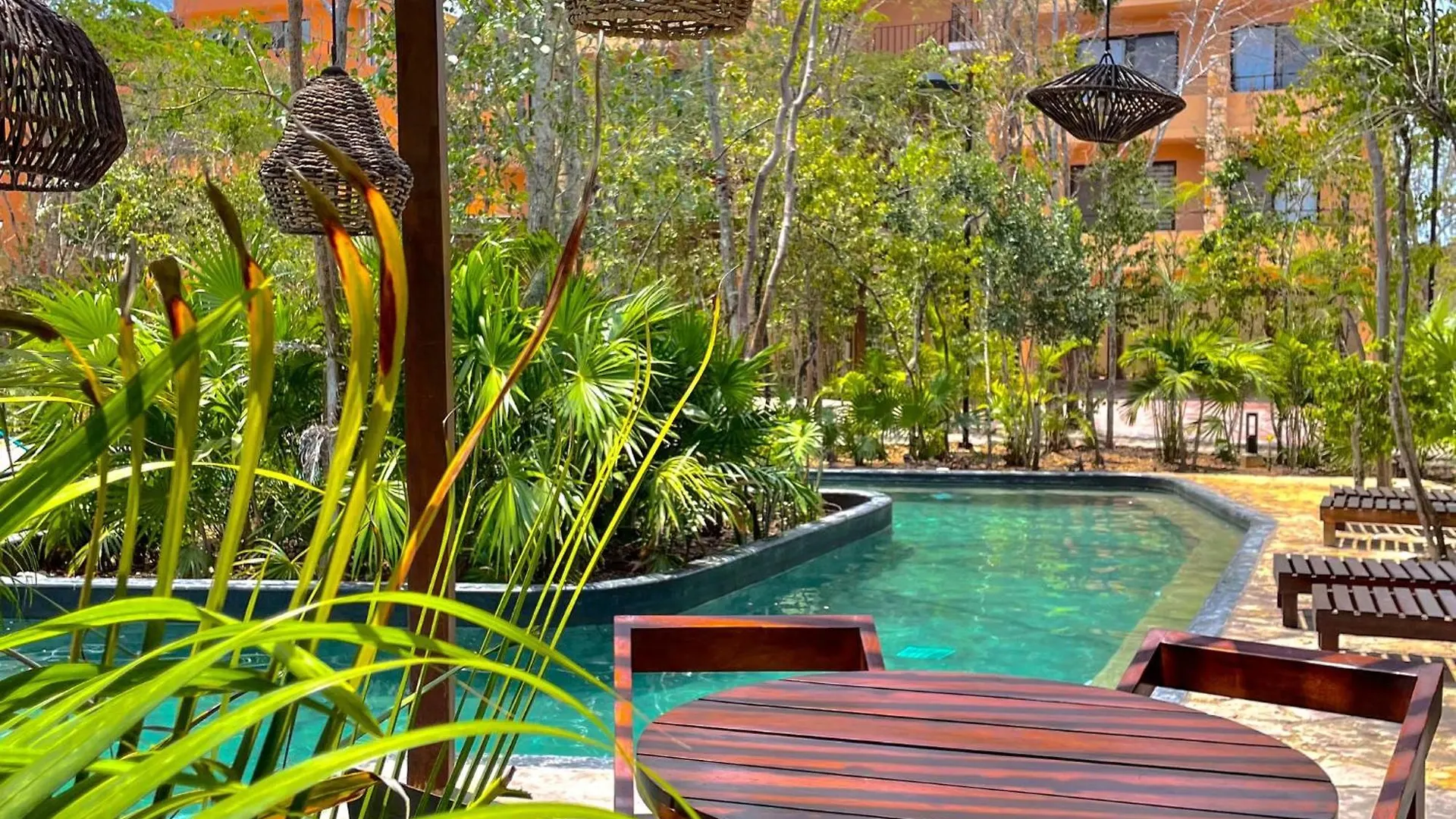 Estudio Completo En La Selva Tulum Mexico